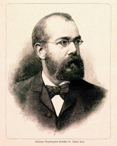 Ziehl-Neelsen boyası