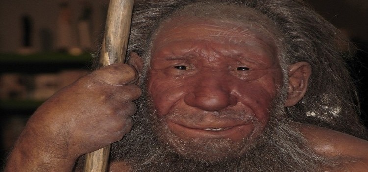 Mağara İnsanları da Dahil Olmak Üzere Koku Duyumuz Nasıl Evrimleşti?