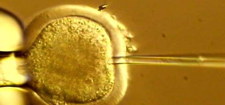 İnsan embriyolarının genetiği bilimciler tarafından değiştirildi