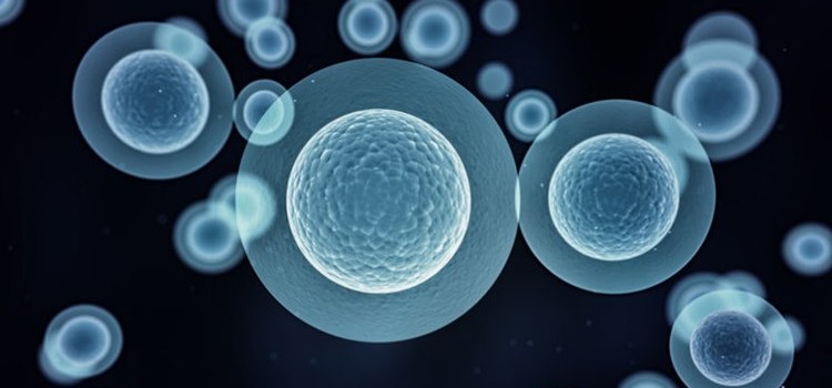 İnsan kök hücre DNA’sı ilk kez programlandı