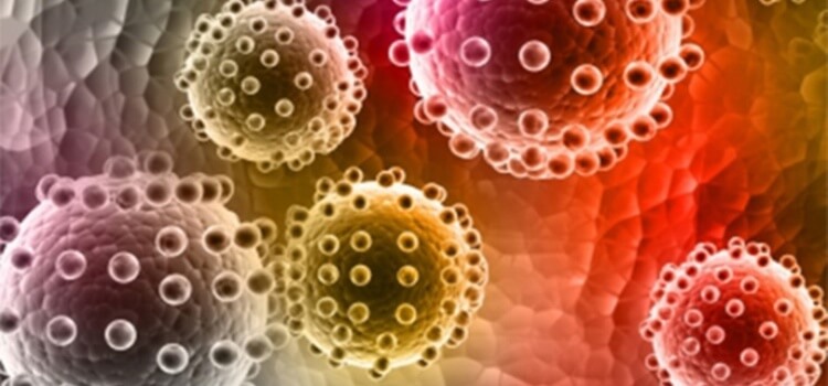 Zika Virüsü Nedir, Belirtileri Nelerdir, Nasıl Bulaşır, Nasıl Korunulur?