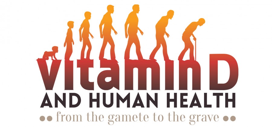 ”D Vitamini” Hormon Mudur, Vitamin Mi?
