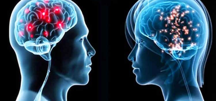 Beynimizin Bir Cinsiyeti Var mı?