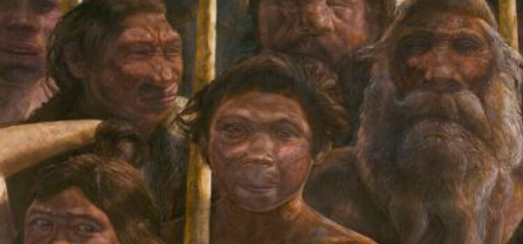 Neandertal ve İnsanın Son Ortak Atasına Ait DNA Sekanslaması Tamamlandı