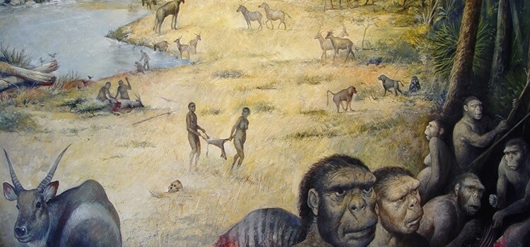 Hominin’lerin Habitatları İlk Kez Yapılandırıldı