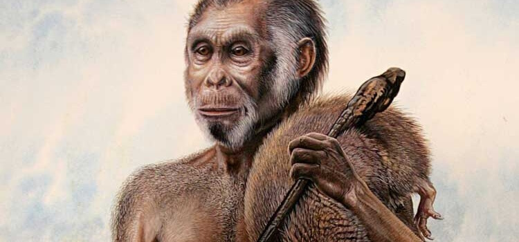 Hobit Türü Homo floresiensis’i, Yok Olmaya İnsanlar mı Sürükledi?