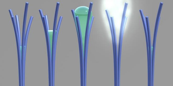 Bilim İnsanları Yanlışlıkla Havadan Su Elde Eden Nanoçubuklar Geliştirdi