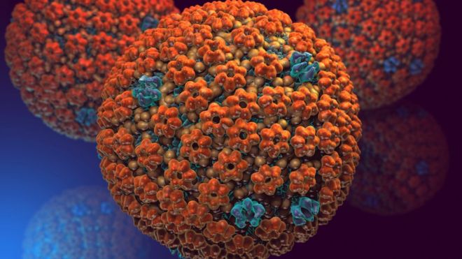 Sabah kapılan virüsler ‘daha tehlikeli’