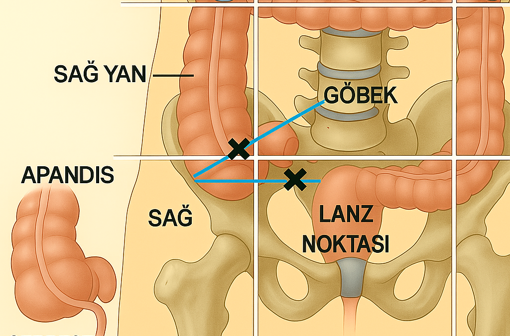 Lanz noktası